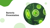 Bacteria PowerPoint Presentation and Google Slides Templates