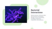 88986-bacteria-google-slides-07