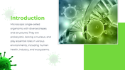 88988-bacteria-ppt-template-02