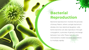 88988-bacteria-ppt-template-04