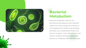 88988-bacteria-ppt-template-05