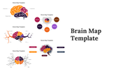 89172-brain-map-template-01