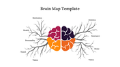 89172-brain-map-template-02