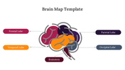 89172-brain-map-template-03