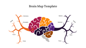 89172-brain-map-template-04