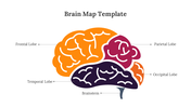 89172-brain-map-template-06