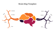 89172-brain-map-template-07