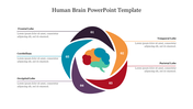 Visual representation of a human brain with a circular layout highlighting different lobes and their respective descriptions.