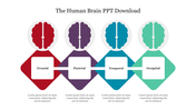 The Human Brain PPT Templates Download Google Slides