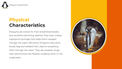 89218-penguin-powerpoint-template-03