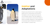 89218-penguin-powerpoint-template-04