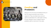 89218-penguin-powerpoint-template-06