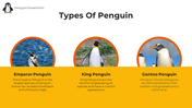 89218-penguin-powerpoint-template-08