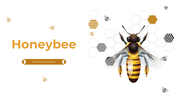 Slide deck focused on honeybees, including images and sections on pollination to honeybee populations with text descriptions.