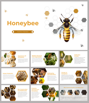 Slide deck focused on honeybees, including images and sections on pollination to honeybee populations with text descriptions.