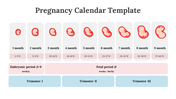 89543-pregnancy-calendar-template-02