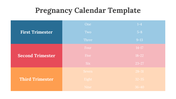 89543-pregnancy-calendar-template-03