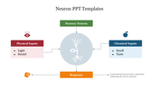 Neuron PowerPoint Presentation Templates Free Google Slides