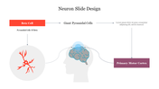 Amazing Neuron Slide Design PowerPoint Presentation 