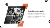 900015-national-hug-your-hound-day-ppt-05