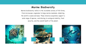 900019-marine-research-10