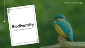 900025-biodiversity-research-01