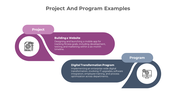 900147-program-vs-project-infographics-02