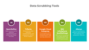 900179-data-scrubbing-powerpoint-05