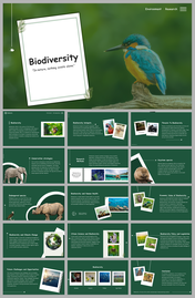 Biodiversity slides with green backgrounds, featuring wildlife images, conservation strategies, and ecological research.