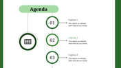 Green themed agenda slide with a vertical timeline showing three numbered steps, each with captions and a central icon.