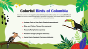 slideegg-301193-biodiversity-in-colombia-lesson-for-pre-k-students-05