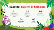 slideegg-301193-biodiversity-in-colombia-lesson-for-pre-k-students-07