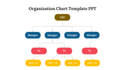 Organization chart template with top-down structure, featuring employees roles in colored boxes.