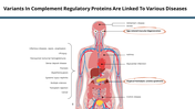 therapeutics-slide-deck-08