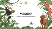 A pack of slides featuring illustrations of various wildlife animals in a lush green forest setting with icons and text area.