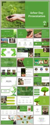 Best Arbor Day Presentation And Google Slides Themes