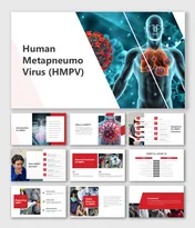 Human metapneumovirus slides with virus imagery, graphics, red highlights, and detailed data on symptoms and outbreaks.