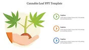 Illustration of a hand holding a small cannabis plant with three text captions.