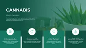 Green-themed slide with cannabis leaves in the background, with four white icons and text highlighting benefits.