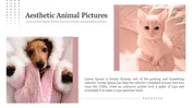 Creative Aesthetic Animal Pictures PowerPoint Presentation 