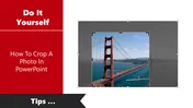 How To Crop A Photo In PowerPoint Presentation