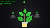 Creative plant-themed slide with a potted plant in the center, three green captions around it, and a black background.