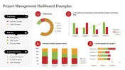 Project management dashboard slide with visually colored charts and graphs displaying task status with icons.