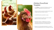 Best Chicken PowerPoint Template Presentation Slide 