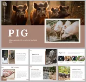 Creative Pig PowerPoint and Google Slides Templates