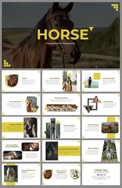 Slide deck featuring horse themed content and images with yellow accents on topics like breeds, anatomy, and care.